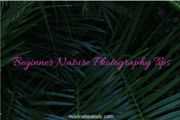 iwannabealady.com beginner nature photography tips