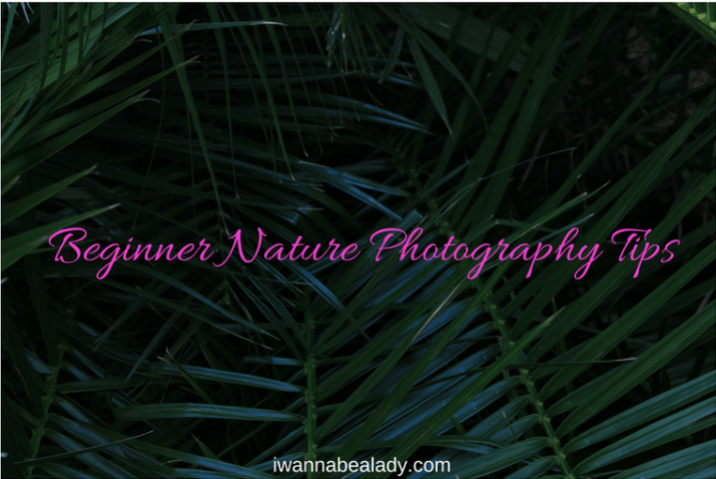 iwannabealady.com beginner nature photography tips
